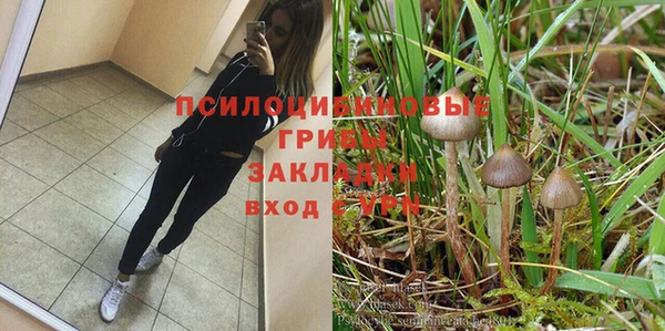 винт Абинск